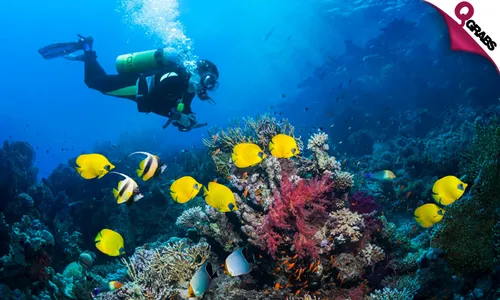 Open Water Diver Course!